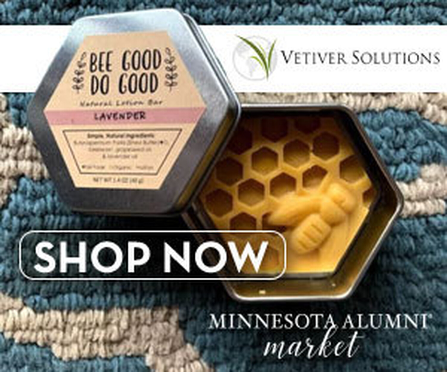 MNAlumniMarketVetiver300x250v01-2.jpg