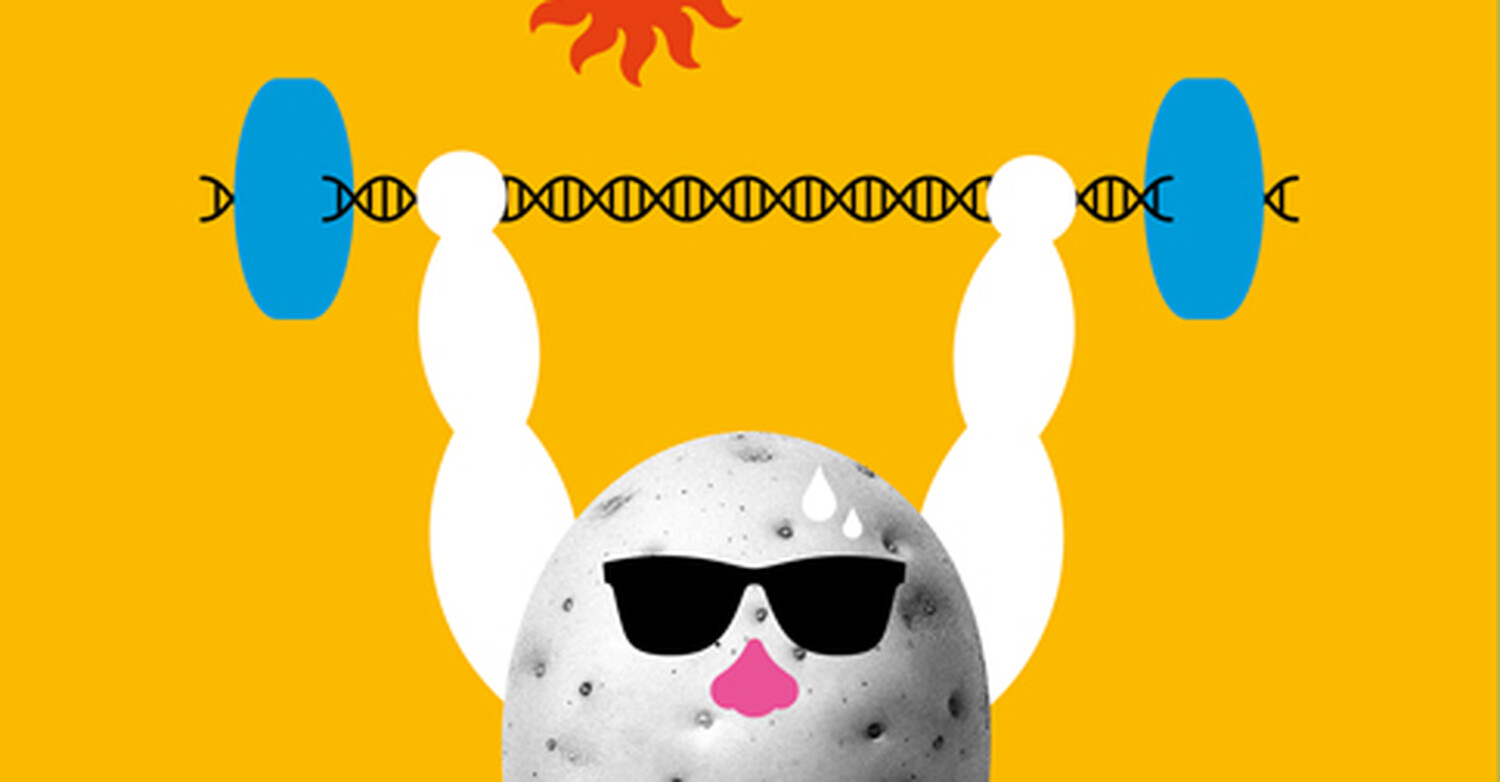 The Crops of Tomorrow