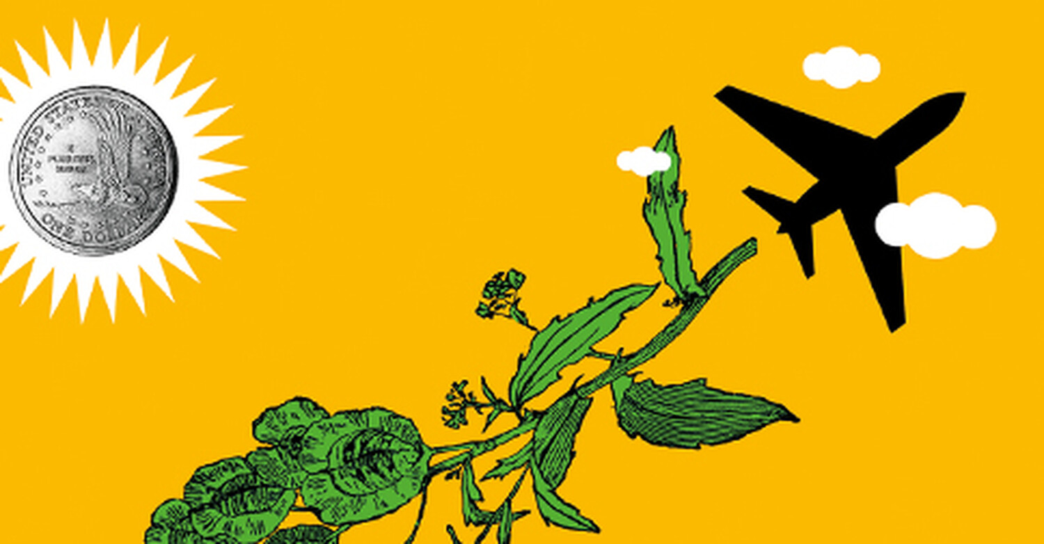 Can Jet Fuel Clean Up Our Water?