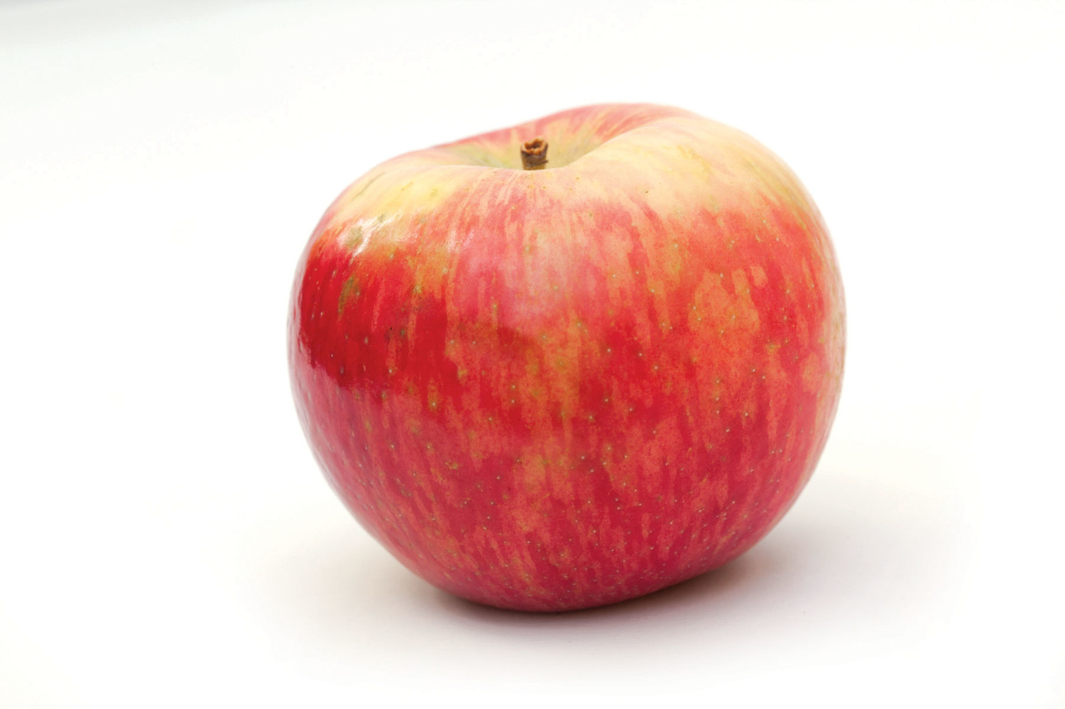 atoz-h-Honeycrisp2014091767108.JPG