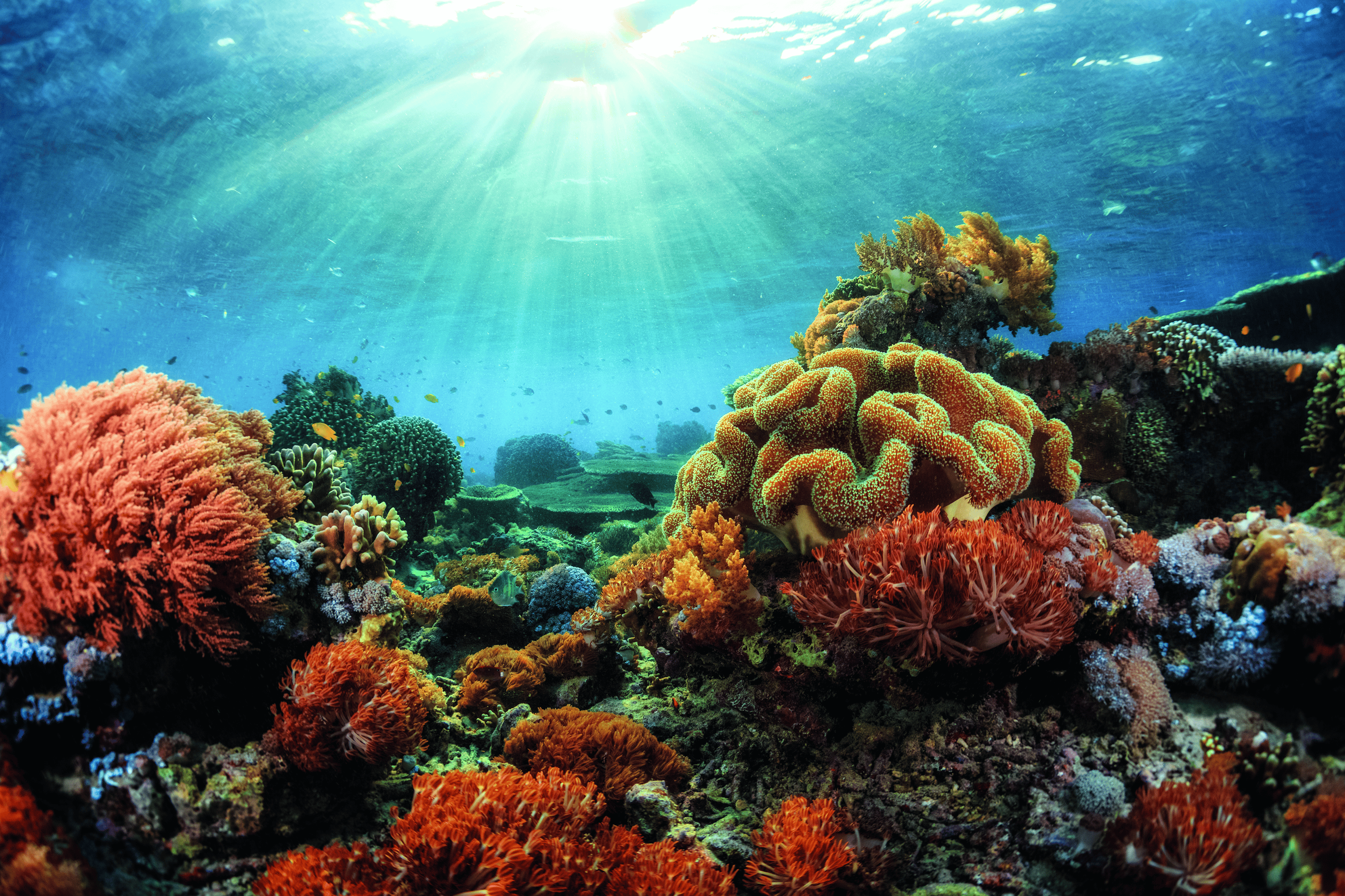 iStock-598177542.png